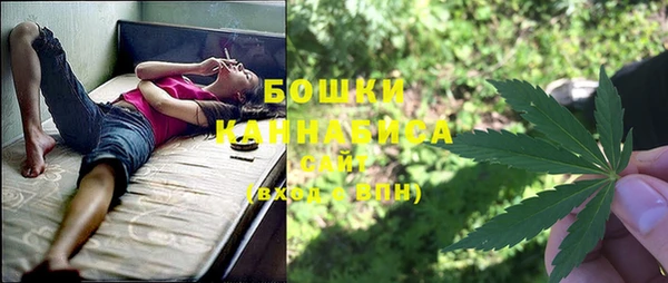 винт Баксан