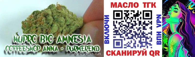 цены наркотик  Фокино  ТГК гашишное масло 